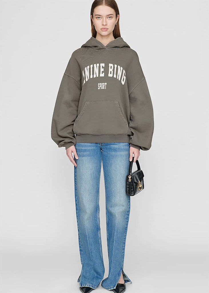 anine bing sweatshirt