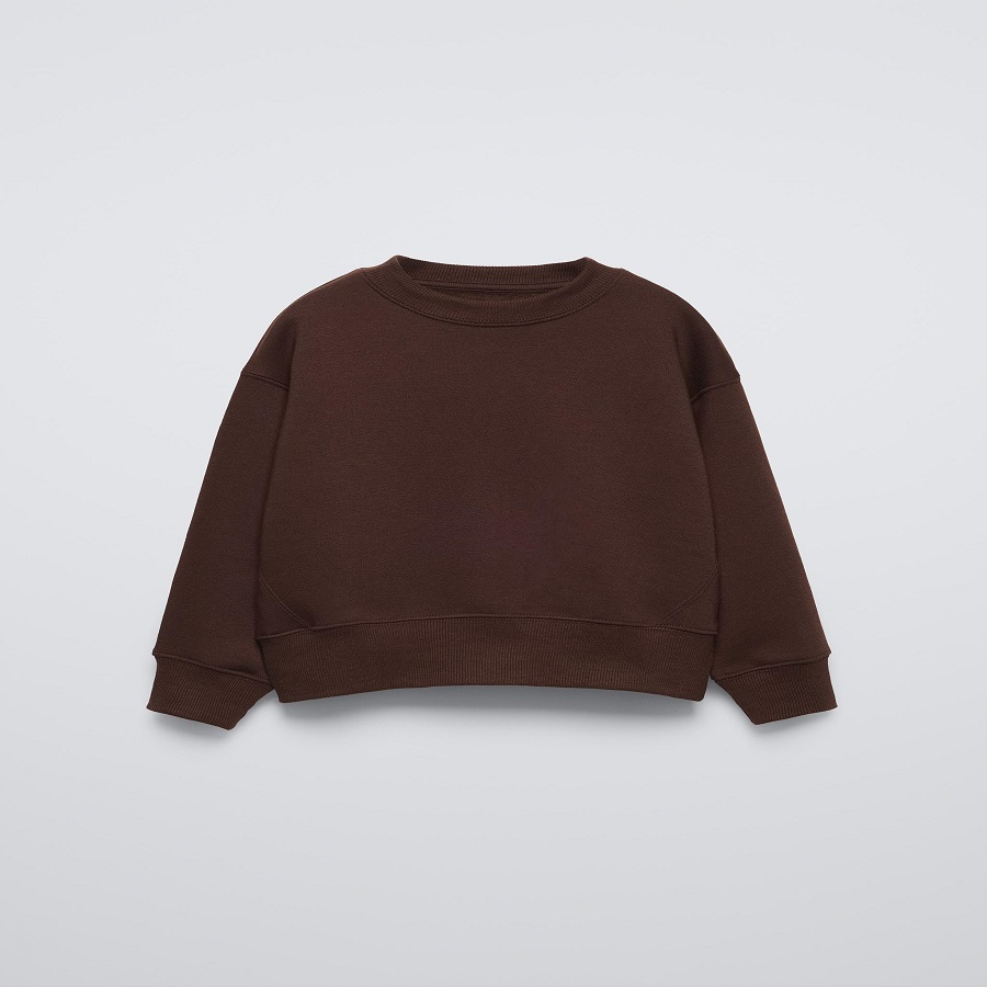 Brown Sweatshirt: