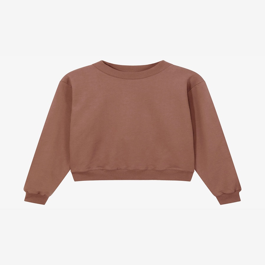 Brown Sweatshirt: