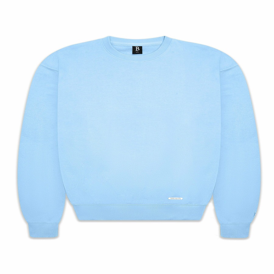 Light Blue Sweatshirt